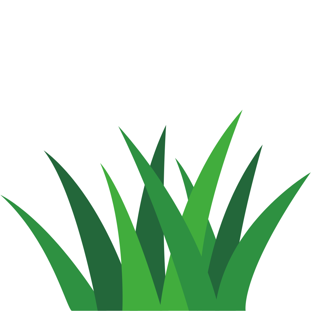Grass Deck